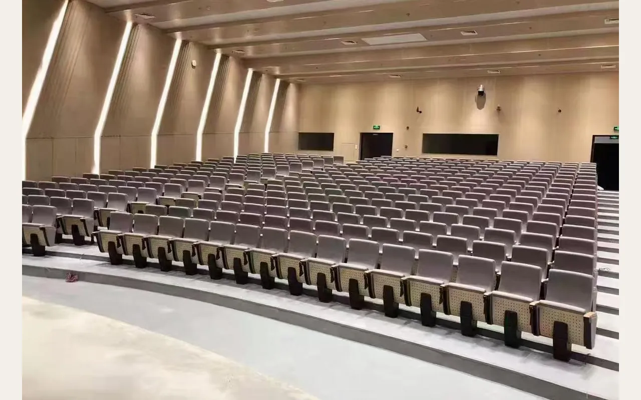 深圳某中学|报告厅 / 教学配套|案例图片3
